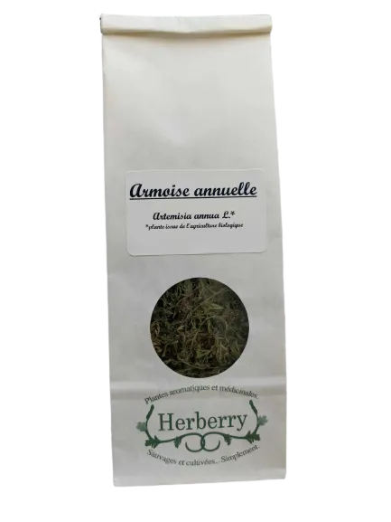 Artemisia annua Ecológica para infusiones-20g-Arándano