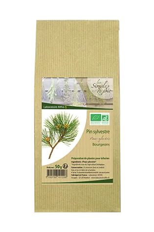 Cogollos De Pino Albar Ecológico-50g-Altho