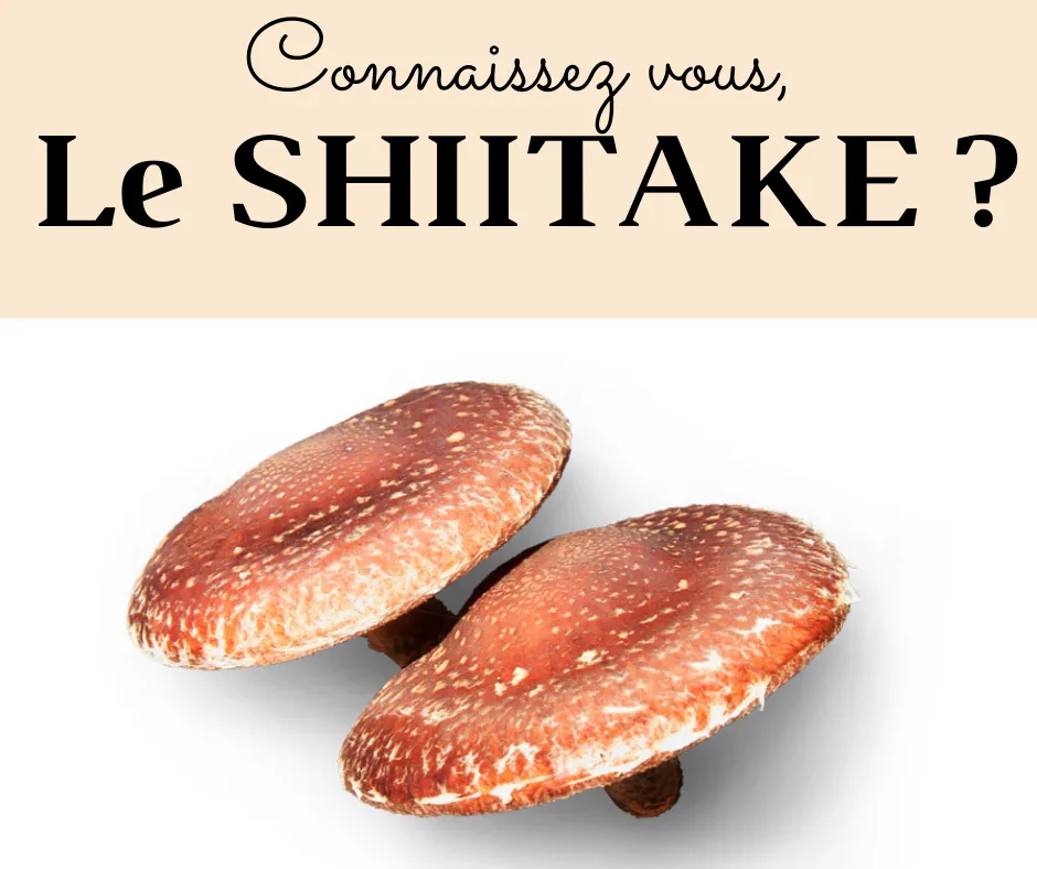 Jornada de Micoterapia - 15 a 16 horas - Sábado 25 de marzo