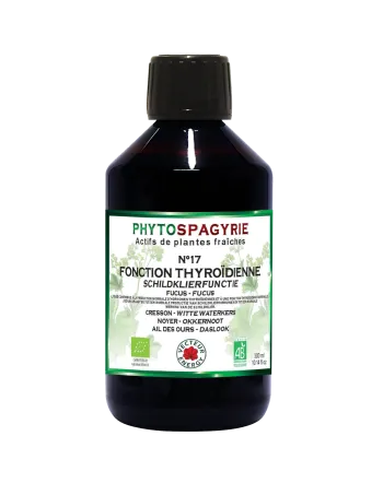 Fitospagiria n°17 ​​función tiroidea-300ml-Vector Energy