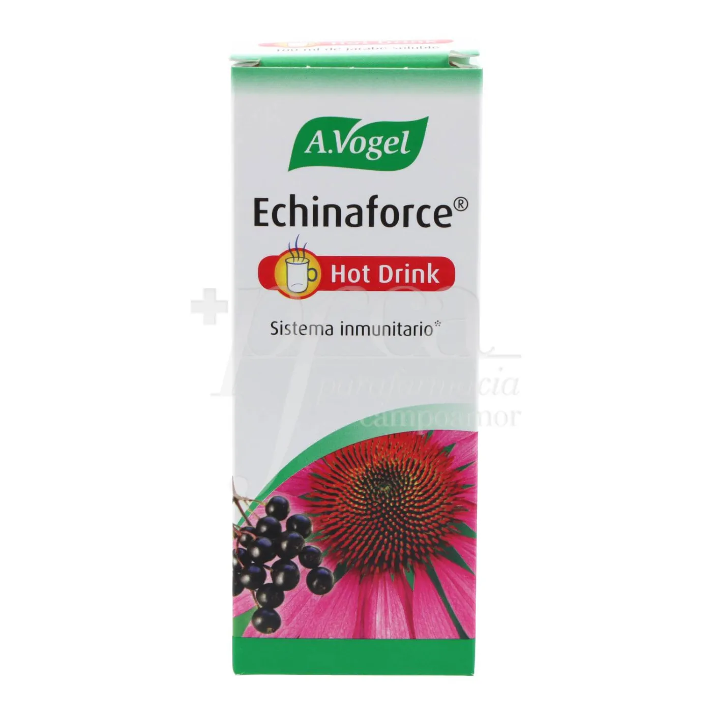 Echinaforce Hot Drink Jarabe Soluble 100 ml A Vo