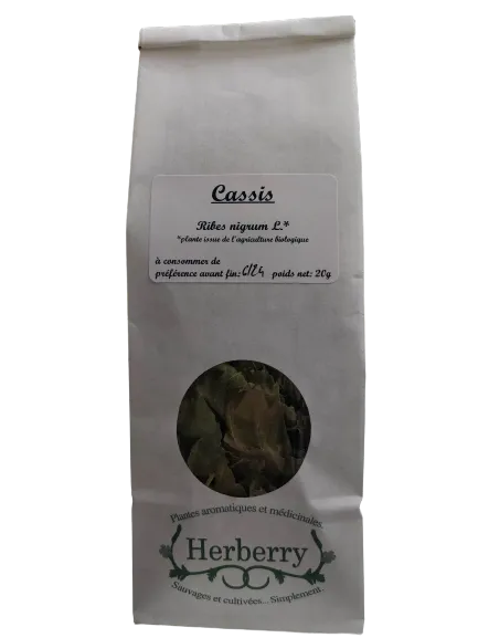 Té de hierbas orgánico de hoja de grosella negra, 20 g, arándano