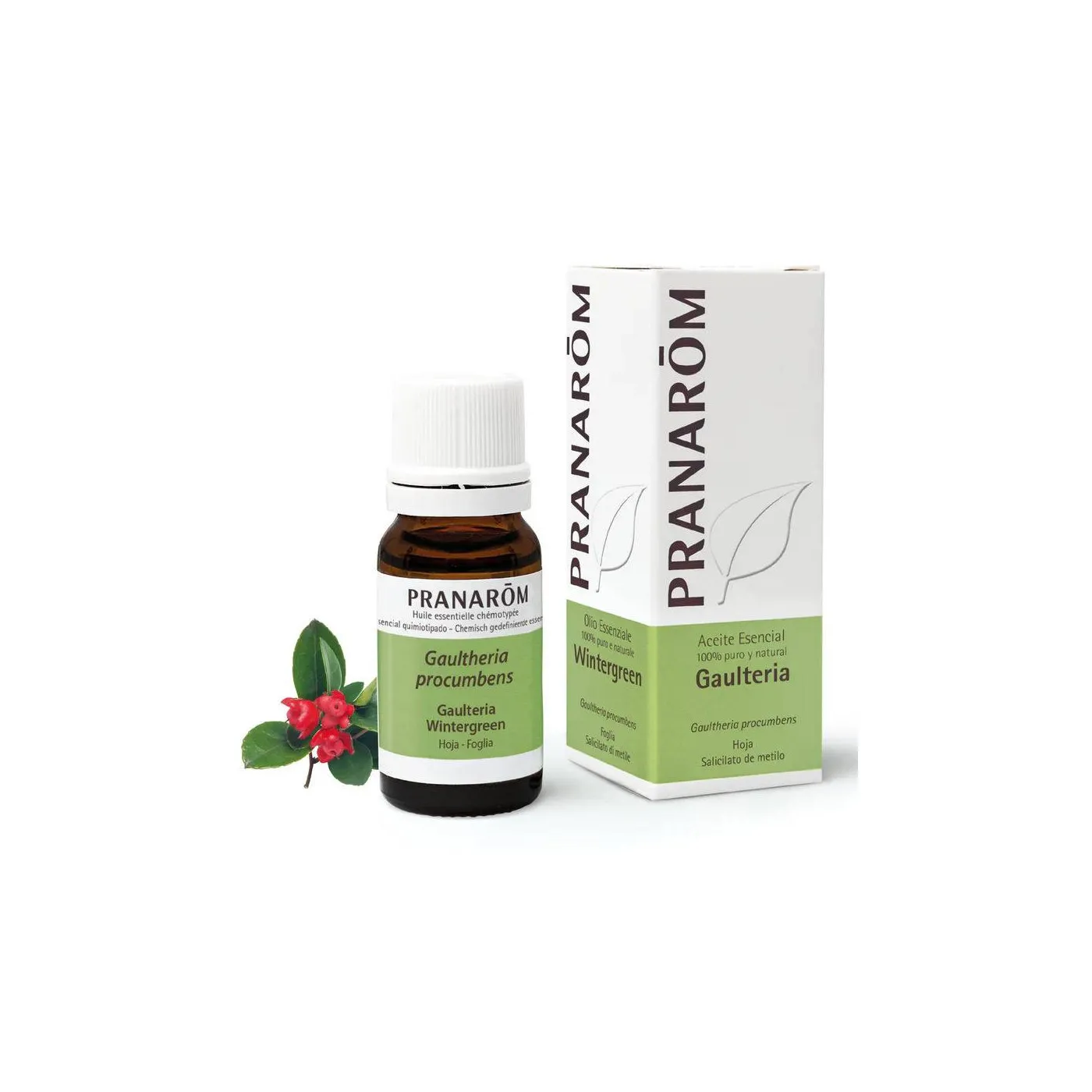 Gaulteria Aceite Esencial 10 ml Pranarom