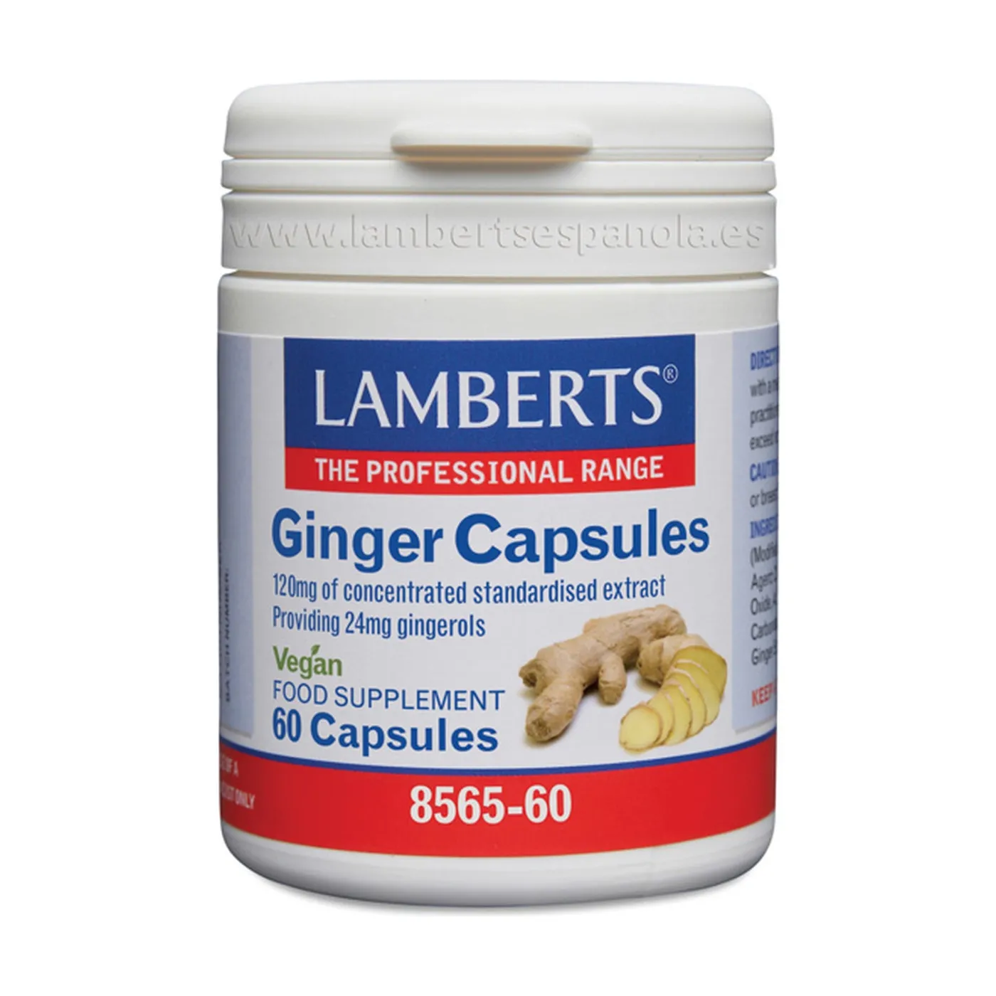 Jengibre 60 Caps Lamberts