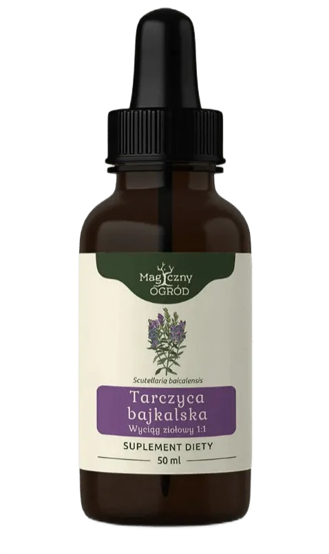 Tintura de escutelaria de Baikal Nanga - 50 ml