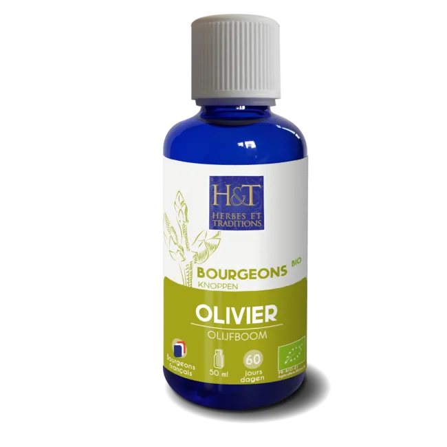 Cogollo de Olivo Ecológico-50ml-Herbes et Traditions