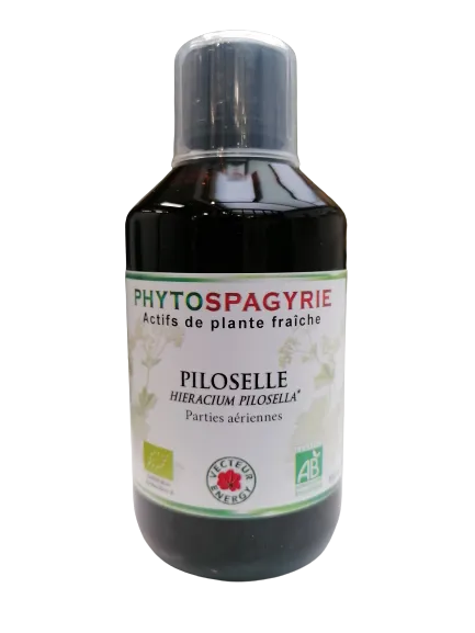 Fitospagiria-Pilosella-300ml-Vector Energy