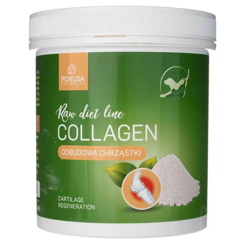 Pokusa RAW DietLine Colágeno - 200 g