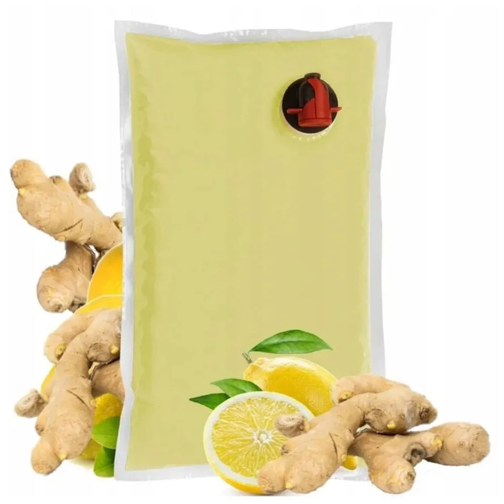 Sadvit Jengibre Fuerte 100% - 1500 ml