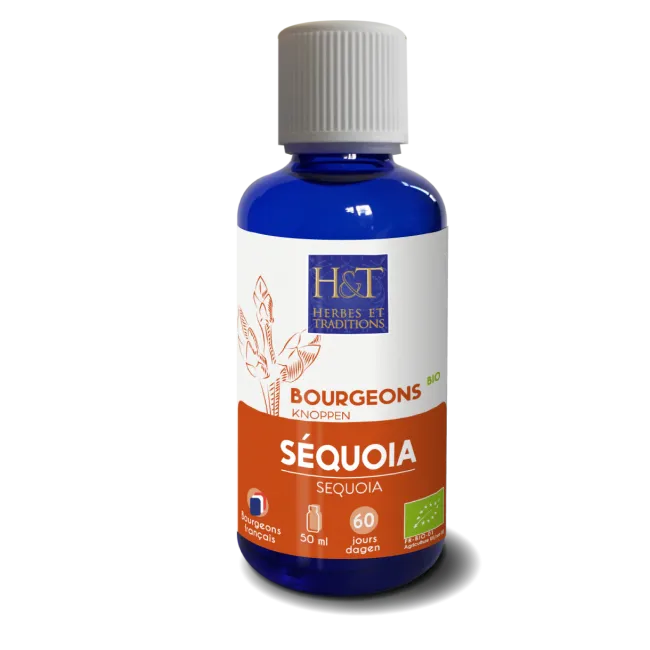 Cogollo de Secuoya Bio-50ml-Herbes et Traditions