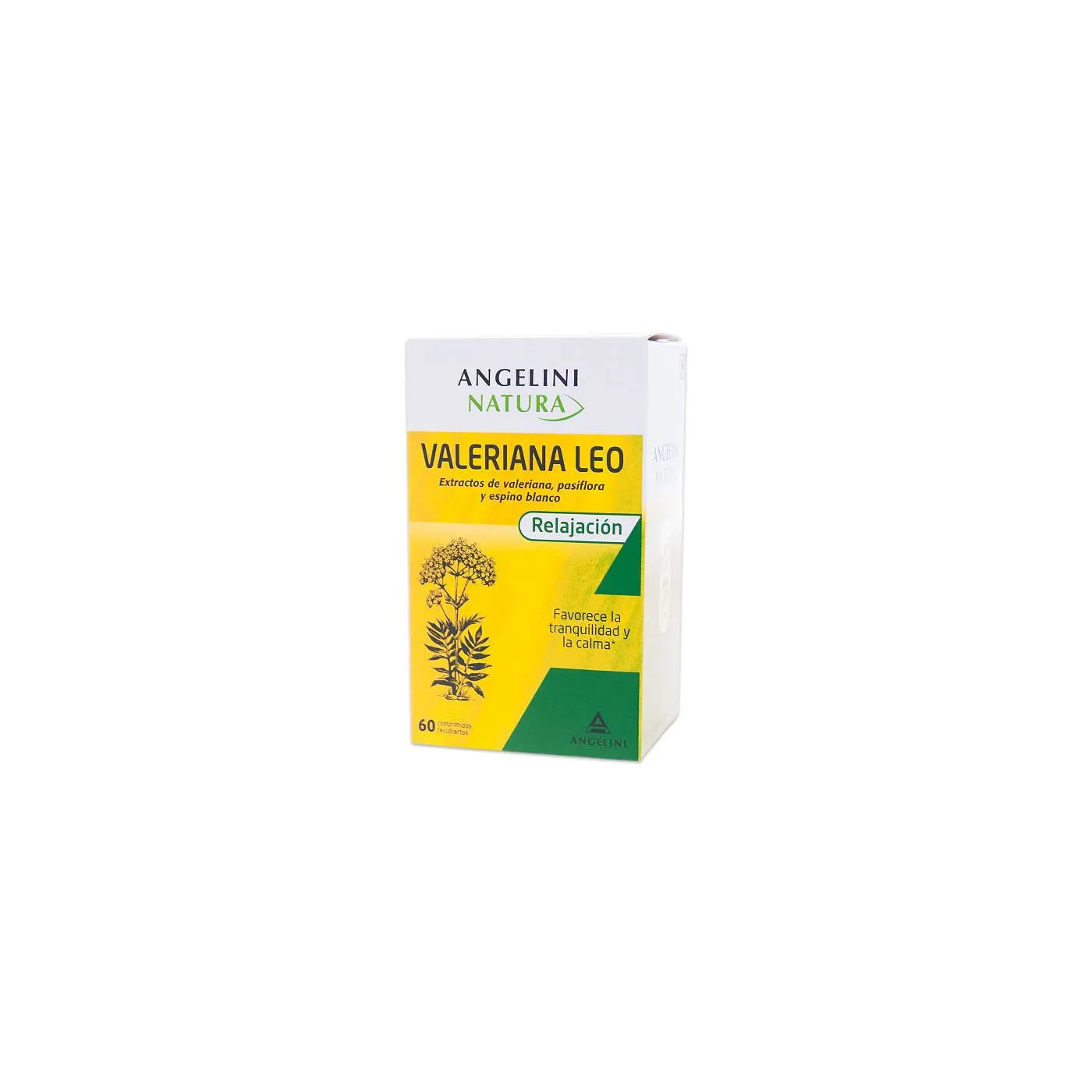 Valeriana Leo Angelini 60 Comps