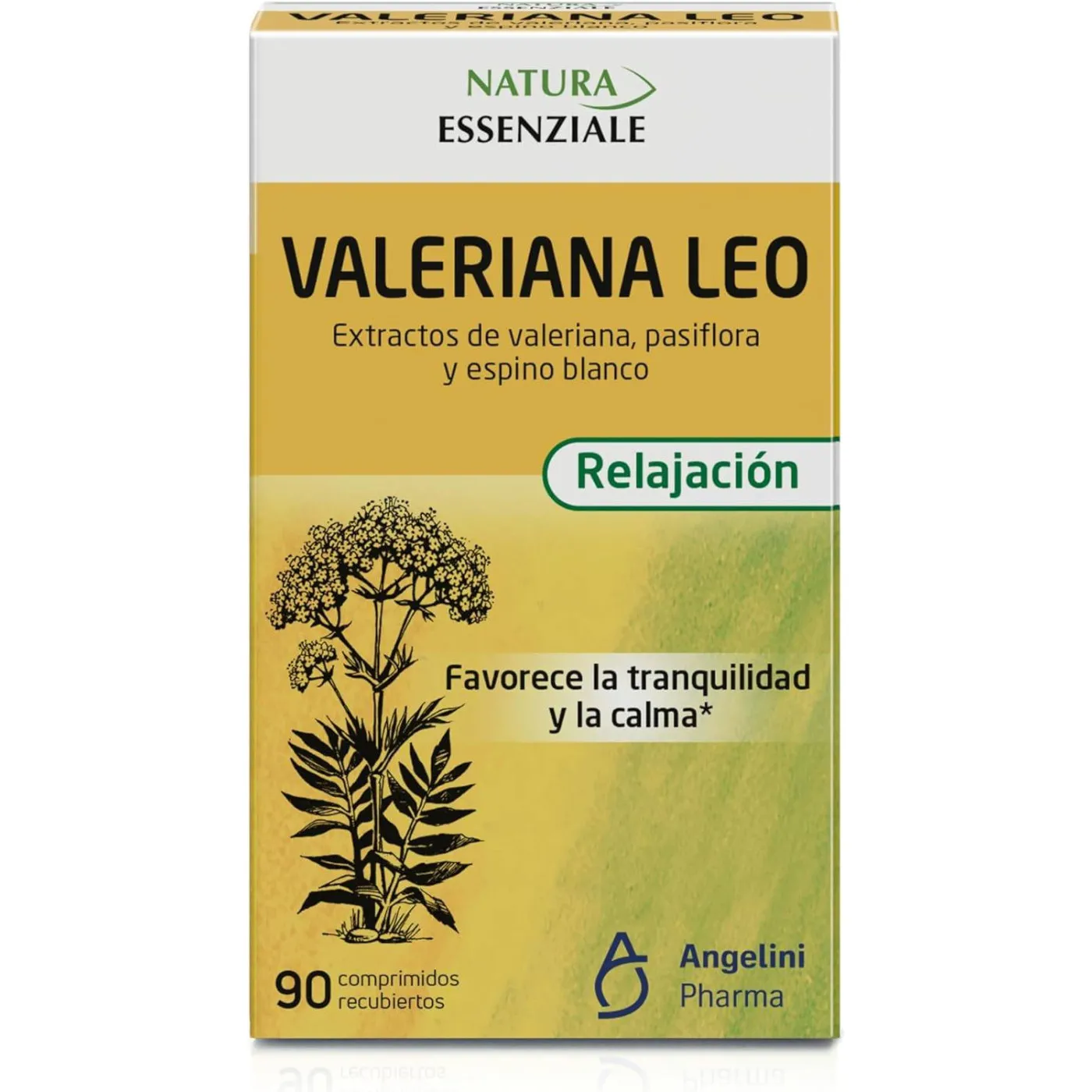 Valeriana Leo Angelini 90 Comps